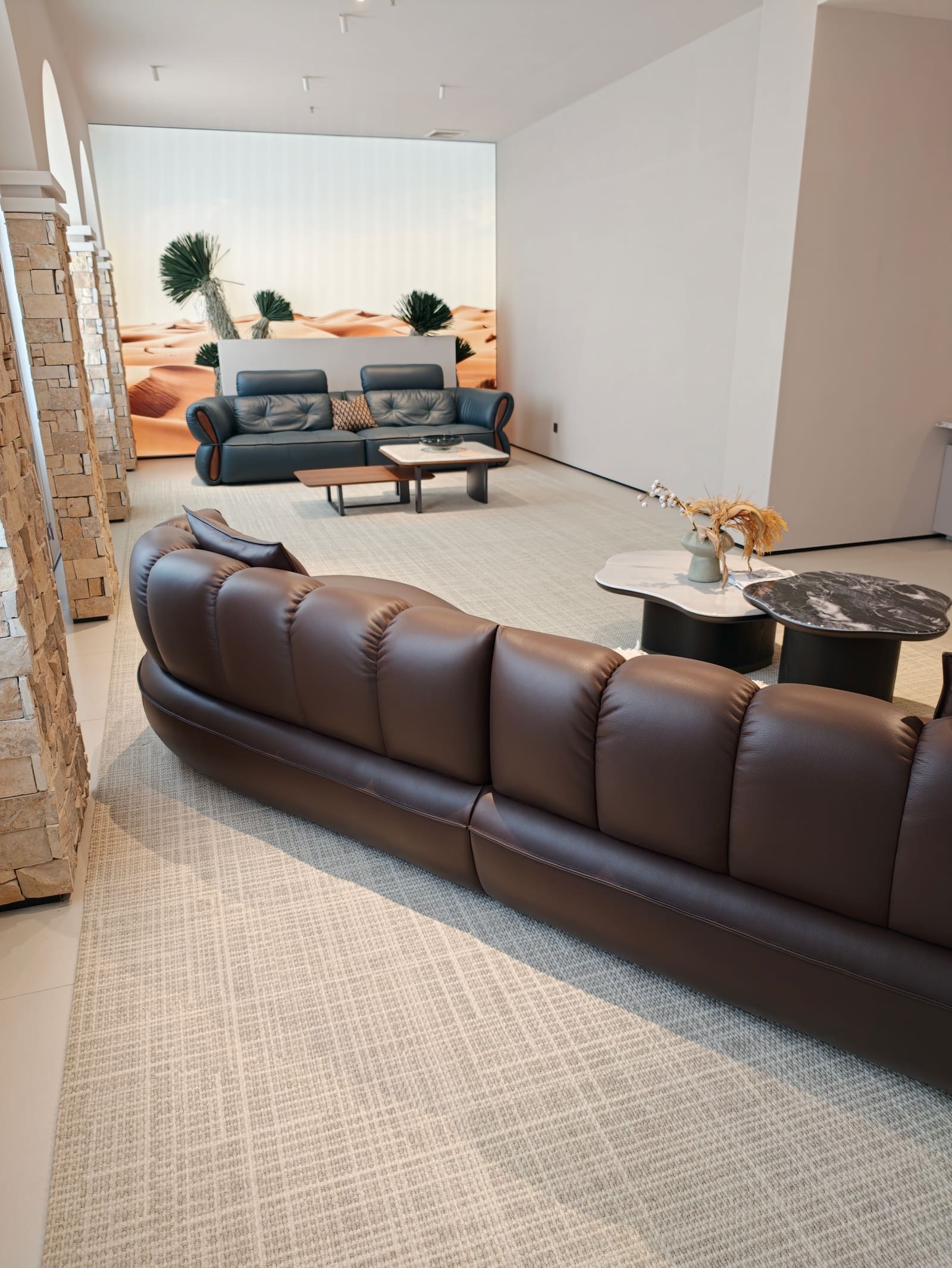 Curved Top-Grain Leather Sectional Sofa with Chaise HD2413B 4