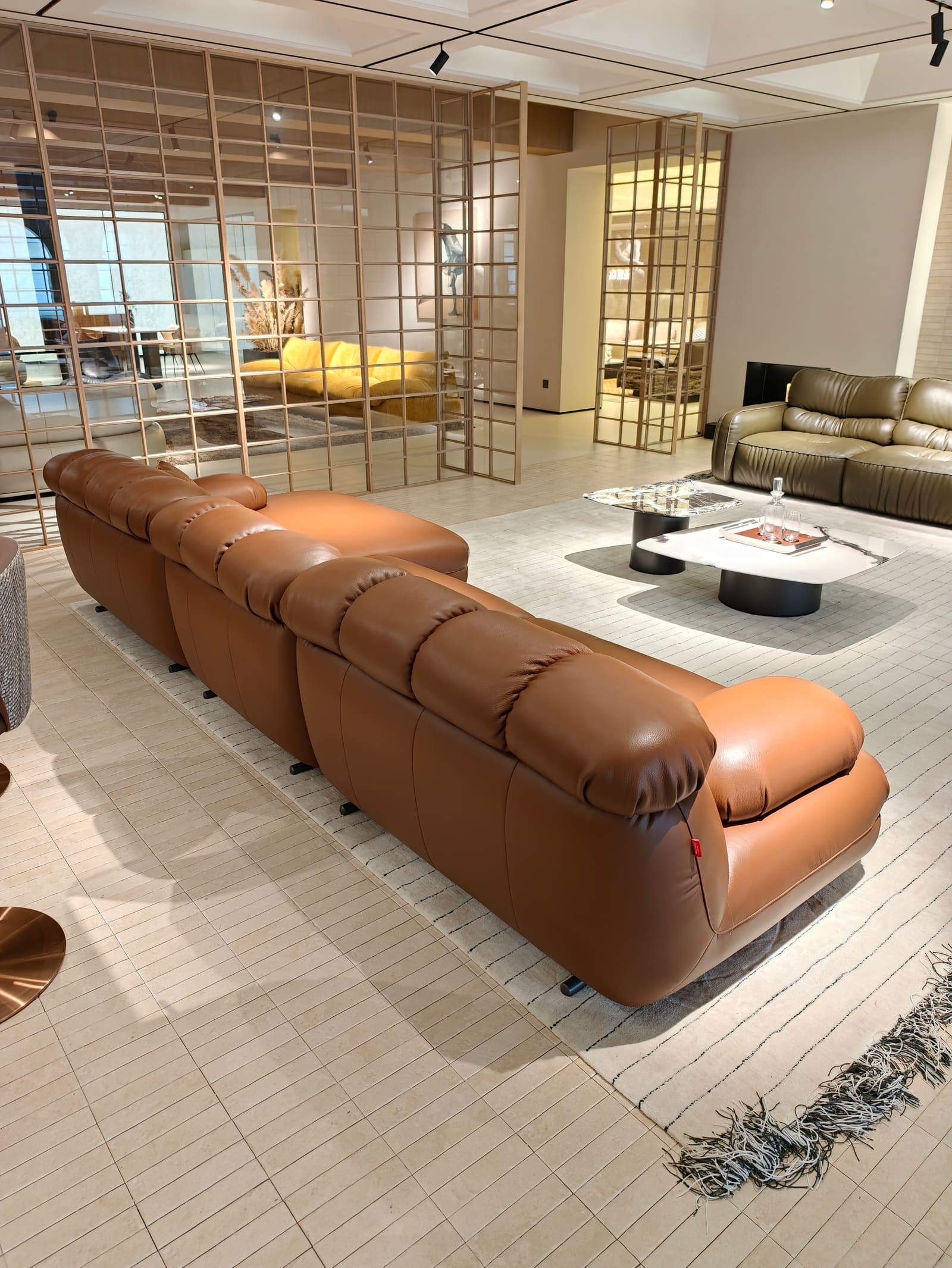 Modern Modular Leather Sectional Sofa with Chaise HD2442B 4