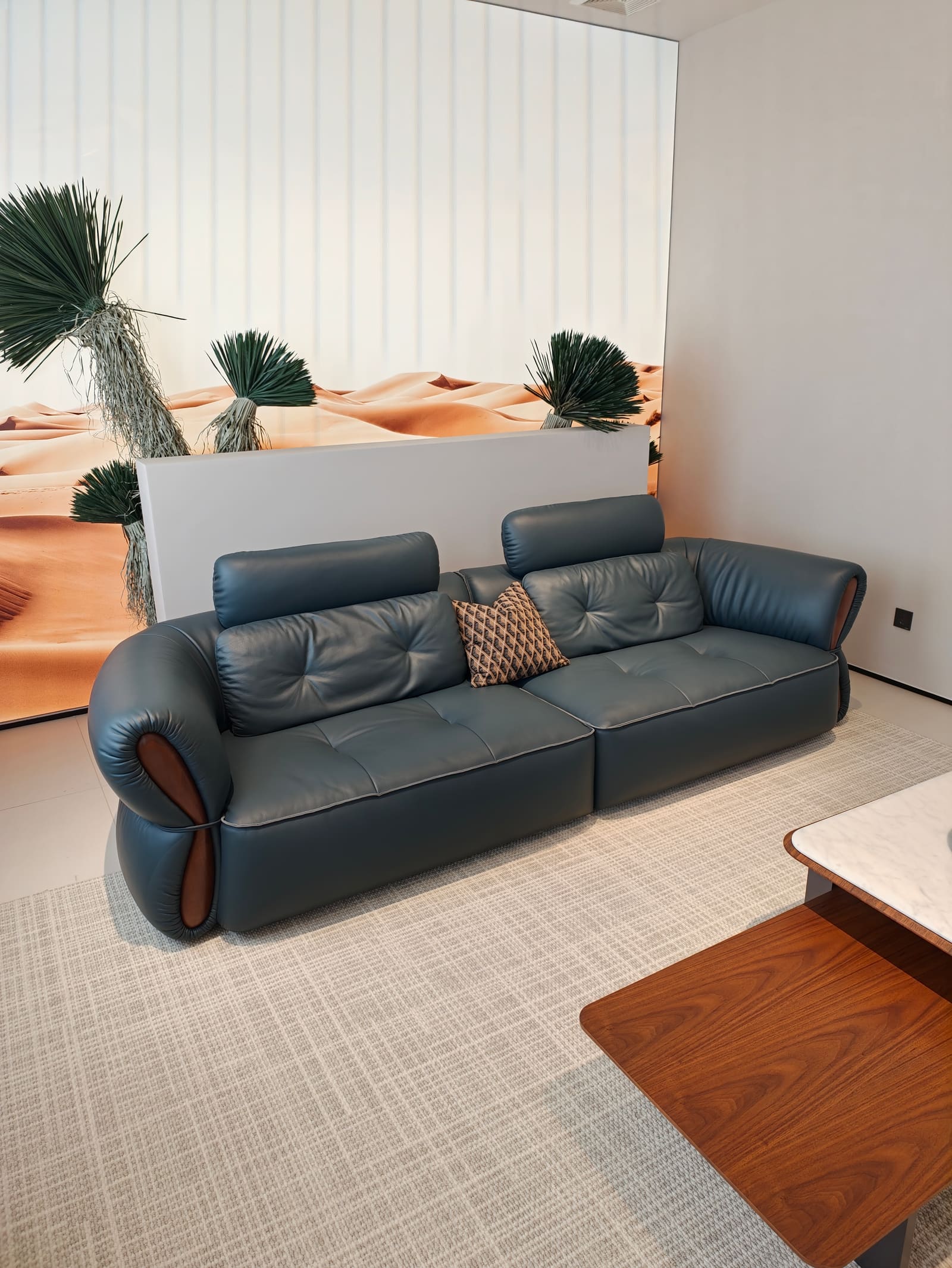 Contemporary Top-Grain Leather Two-Piece Sofa HD2454 7