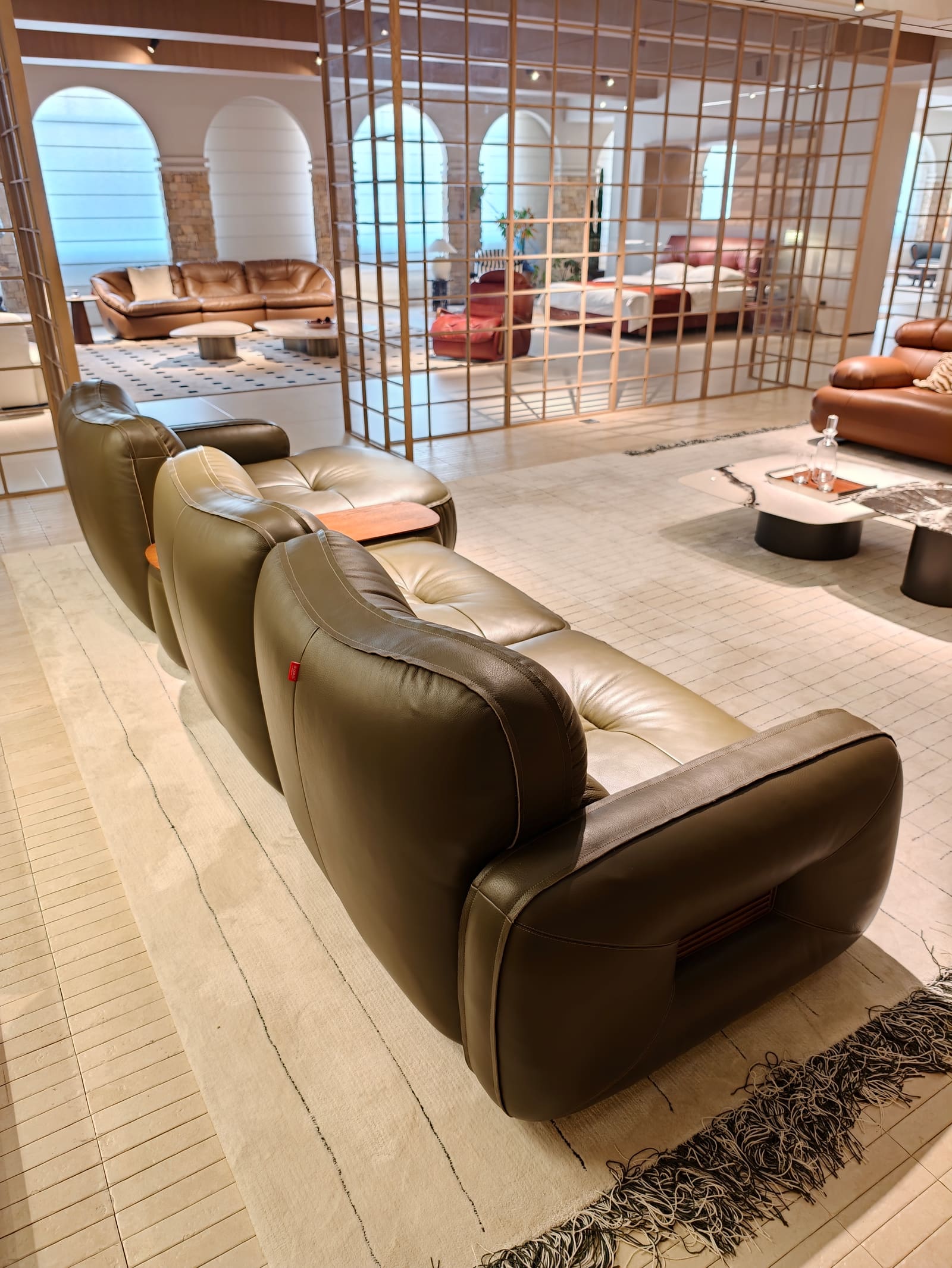 Compact Modular Top-Grain Leather Sofa with Chaise and Cabinet HD2456 3